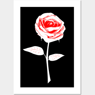 Red White Rose / Dark Clothes Posters and Art